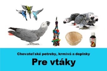 vtaky